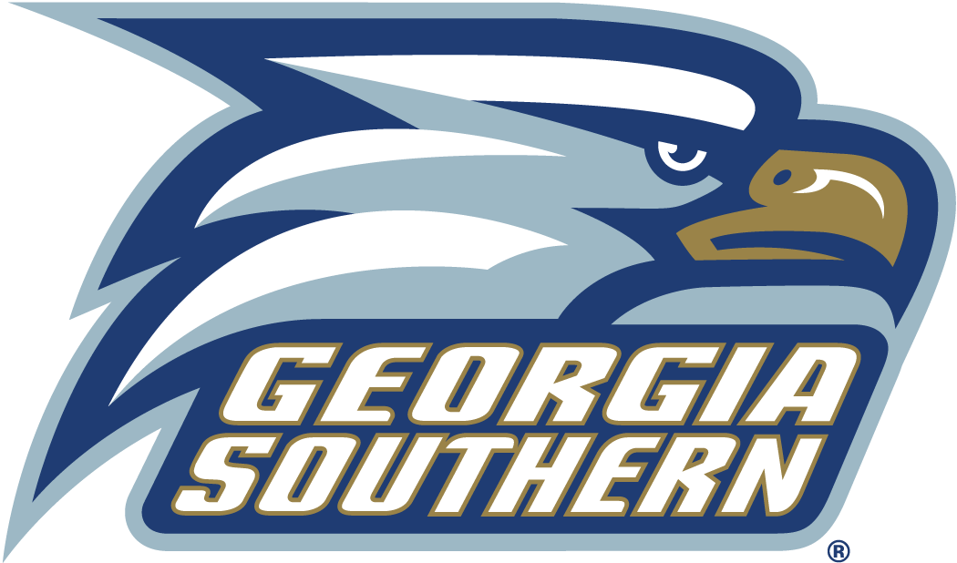 Georgia Southern Eagles 2004-Pres Alternate Logo iron on transfers for fabric